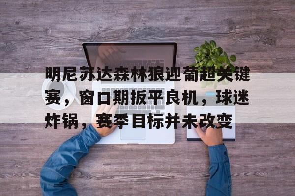 九游娱乐平台-明尼苏达森林狼迎葡超关键赛，窗口期扳平良机，球迷炸锅，赛季目标并未改变的简单介绍